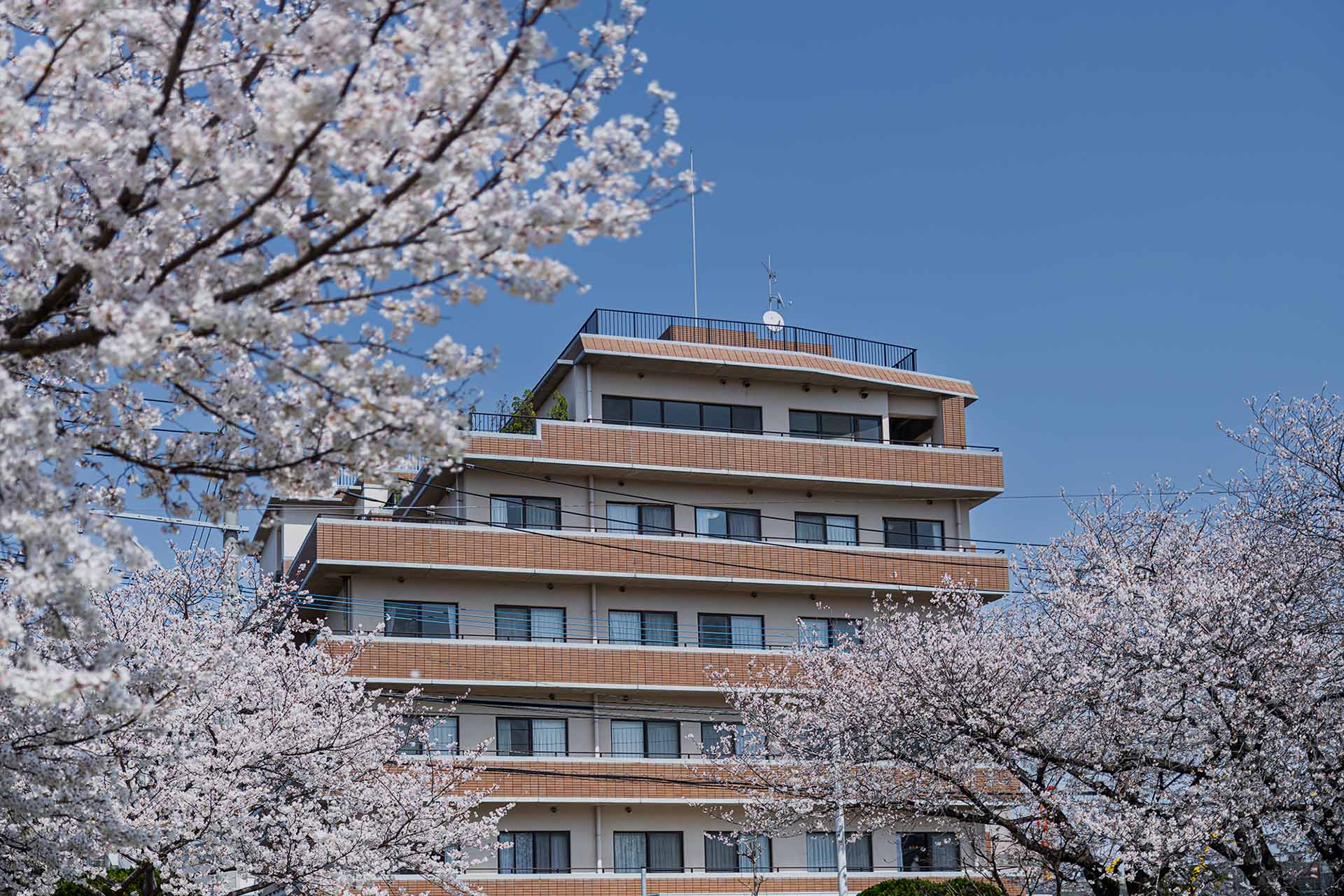 ネオステージ博多の外観